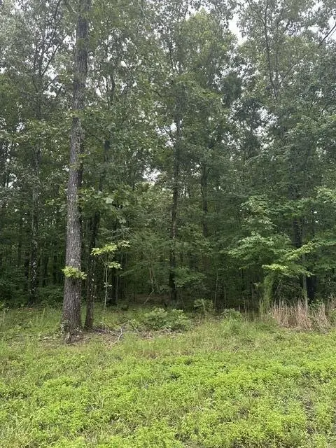 198 Kyuga Drive, South Pittsburg, TN 37380