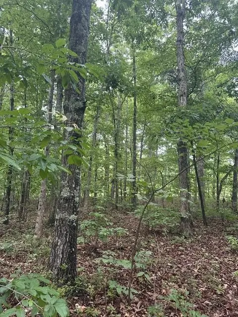 198 Kyuga Drive, South Pittsburg, TN 37380