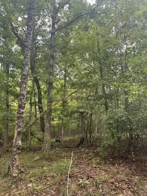 108 Chesadu Circle, South Pittsburg, TN 37380