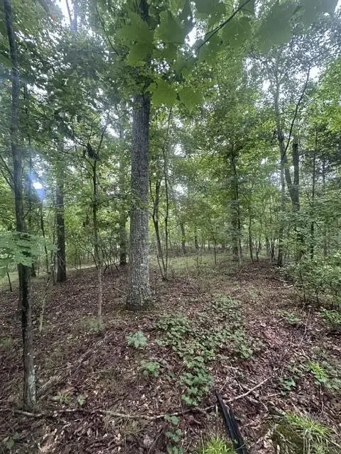 108 Chesadu Circle, South Pittsburg, TN 37380