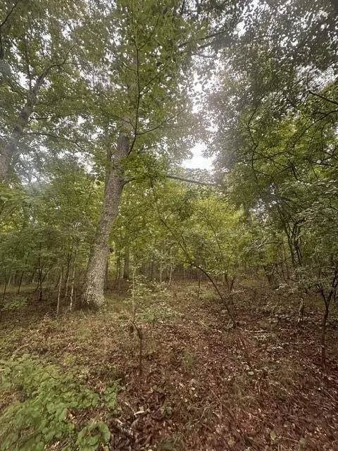 108 Chesadu Circle, South Pittsburg, TN 37380