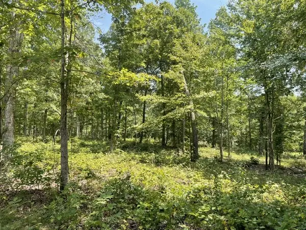 0 Hillcrest Road, Waverly, TN 37185