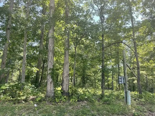0 Hillcrest Road, Waverly, TN 37185