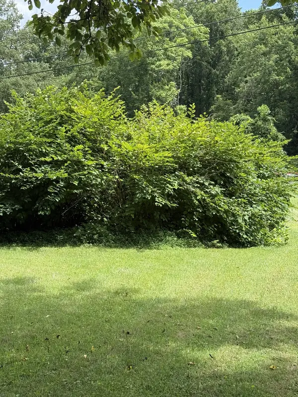 12147 Sewanee Hwy, Sewanee, TN 37375
