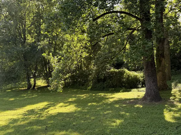 0 Azalea Dr, Columbia, TN 38401