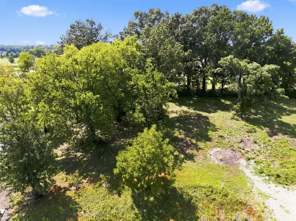 7432 Midland Rd, Christiana, TN 37037