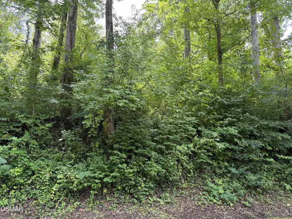 315 Hilltop Road, Gatlinburg, TN 37738
