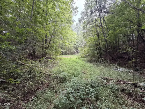 15 Forge Hideaway Road, Pigeon Forge, TN 37863