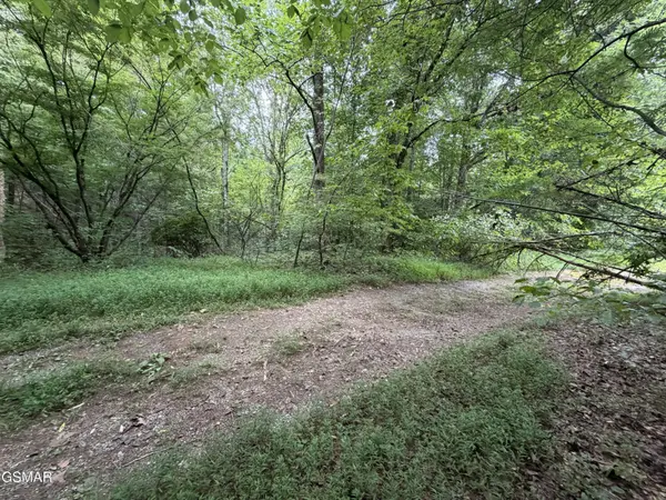 15 Forge Hideaway Road, Pigeon Forge, TN 37863