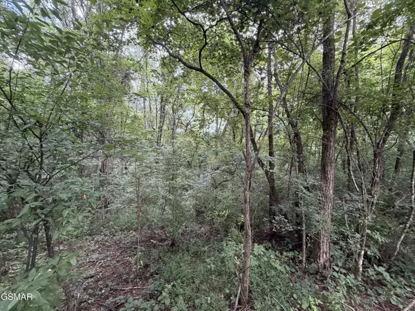 16 Sunrise Boulevard, Kodak, TN 37764
