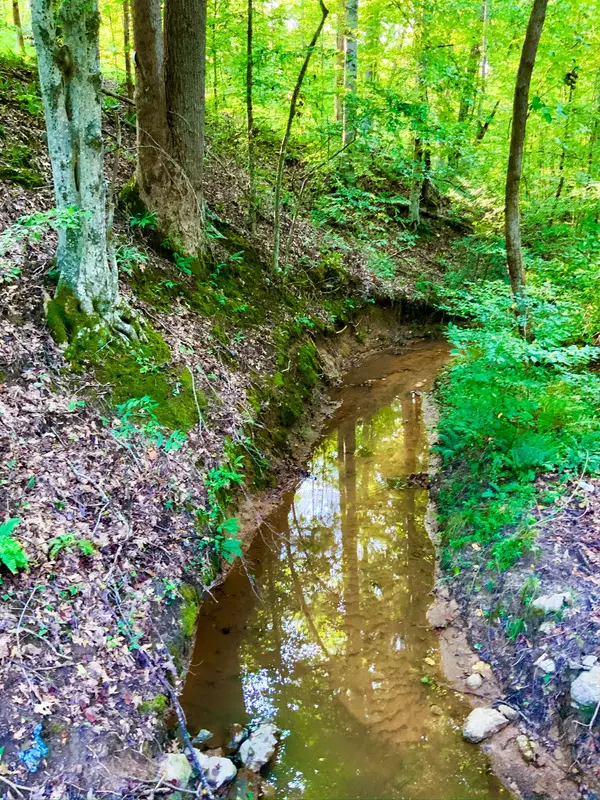 0 Copper Springs Road, Springville, TN 38256