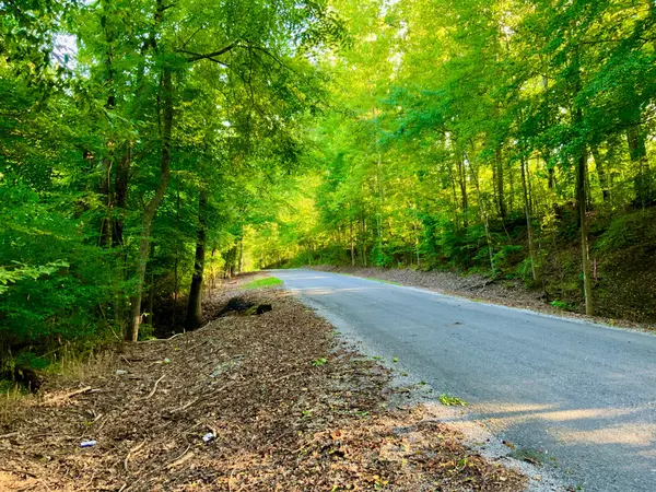 0 Copper Springs Road, Springville, TN 38256