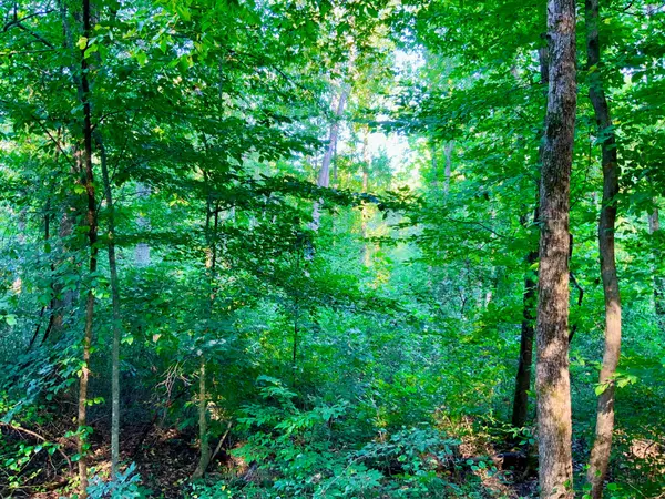 0 Copper Springs Road, Springville, TN 38256