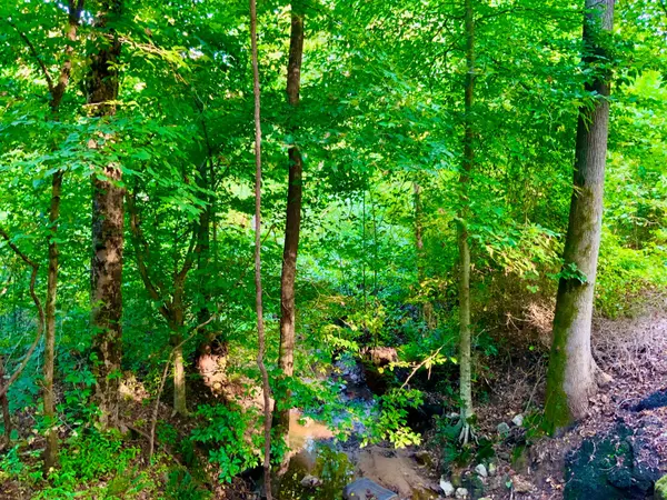 0 Copper Springs Road, Springville, TN 38256