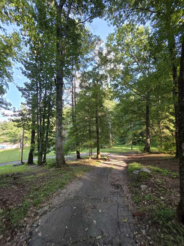 4980 Louise Creek Rd, Cunningham, TN 37052