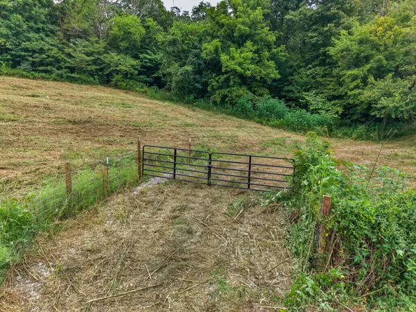 0 Cathcart Rd, Frankewing, TN 38459