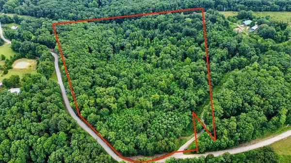 185 Raccoon Ridge, Spring City, TN 37381