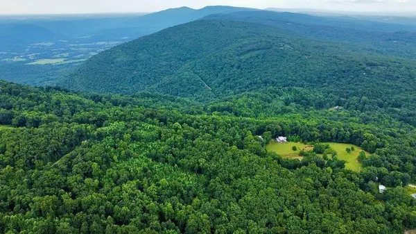 185 Raccoon Ridge, Spring City, TN 37381