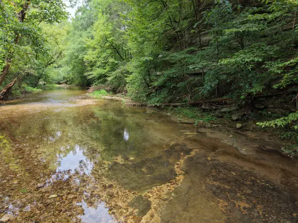 0 Old Beech Creek Rd, Waynesboro, TN 38485
