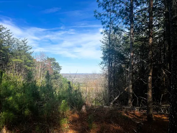 0 Owl Hollow Road #SW, Mc Donald, TN 37353