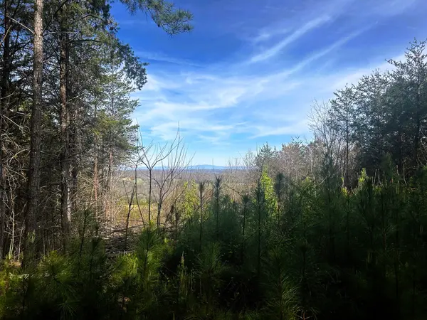0 Owl Hollow Road #SW, Mc Donald, TN 37353