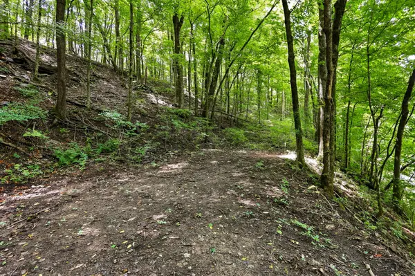 225 Coys Cove Ln, Gainesboro, TN 38562