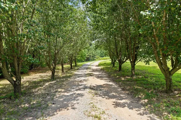 249 Blackfoot Drive, Crandall, GA 30711