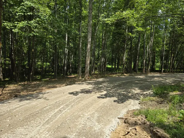 0 Webb Road, Summertown, TN 38483