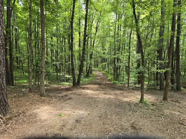 0 Webb Road, Summertown, TN 38483
