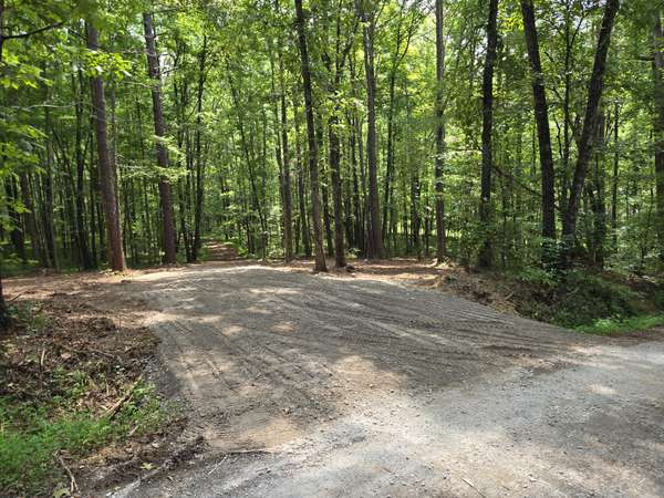 0 Webb Road, Summertown, TN 38483
