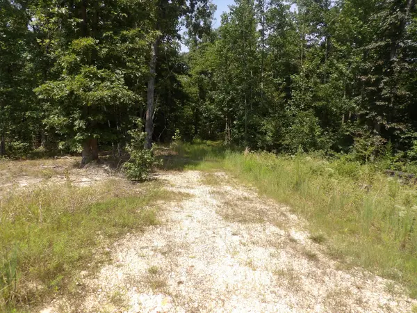 0 Old Union Church Road, Holladay, TN 38341