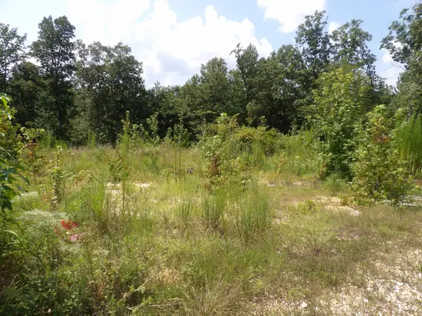 0 Old Union Church Road, Holladay, TN 38341