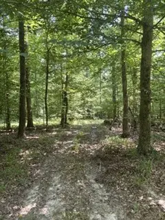 0 Old Union Church Road, Holladay, TN 38341