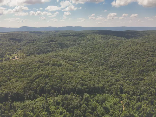 0 Grapevine Road, Crossville, TN 38572