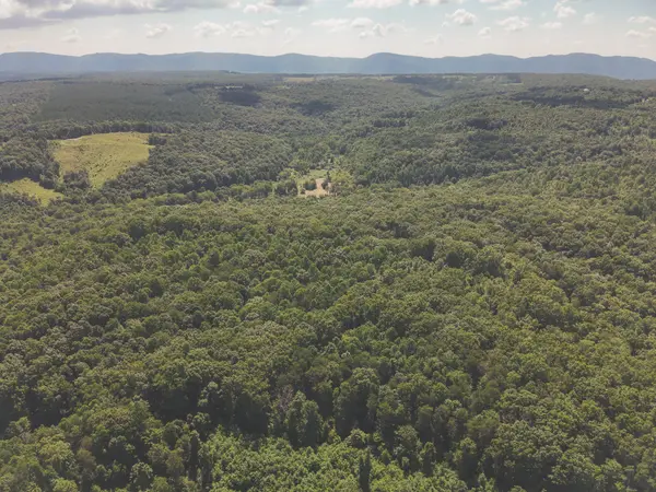 0 Grapevine Road, Crossville, TN 38572