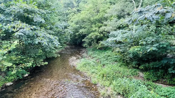 380 Dry Weakley Rd, Ethridge, TN 38456