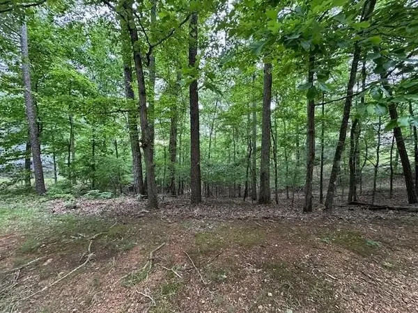 0 ANDERSON HOLLOW RD, Savannah, TN 38372