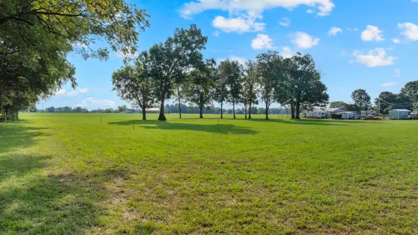 0 Maxwell Chapel road, Unionville, TN 37180