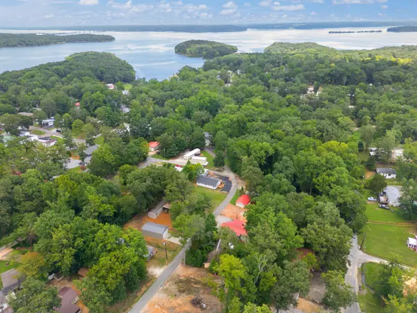 5 Dog Dr, Springville, TN 38256