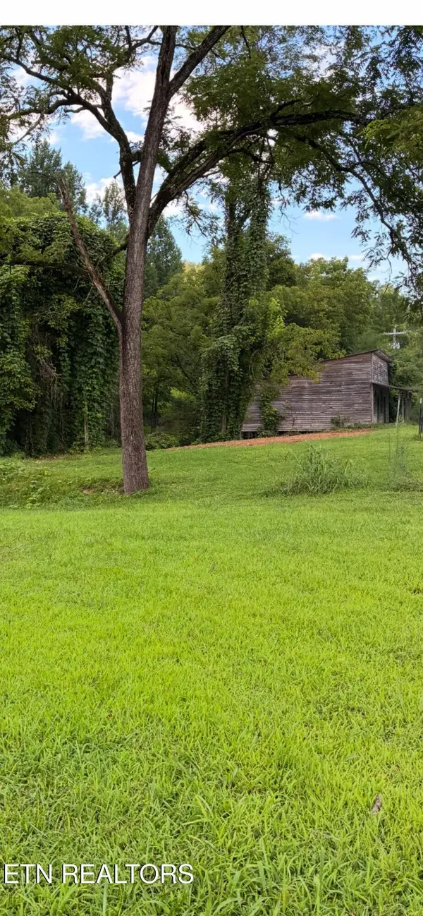 0 Blue Mill Rd, Del Rio, TN 37727