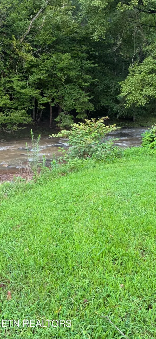 0 Blue Mill Rd, Del Rio, TN 37727