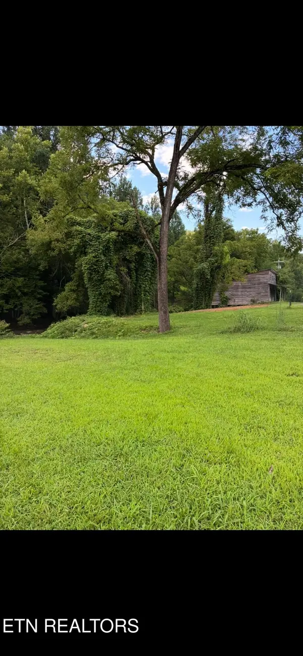 0 Blue Mill Rd, Del Rio, TN 37727