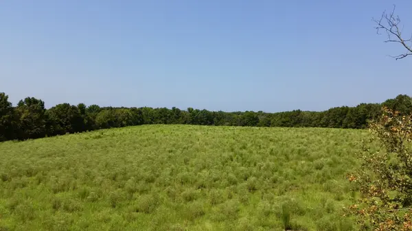0 Danville Road, Big Sandy, TN 38221