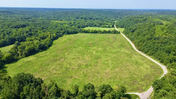 0 Danville Road, Big Sandy, TN 38221
