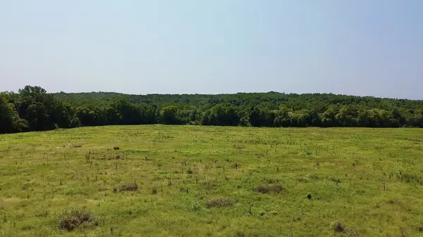 0 Danville Road, Big Sandy, TN 38221