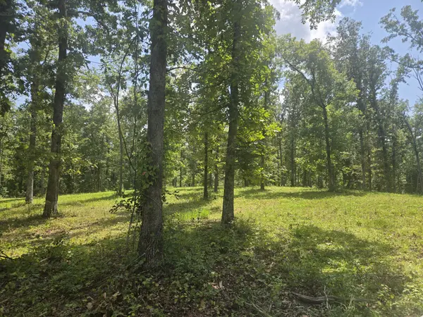 655 Dyer Rd, Hurricane Mills, TN 37078