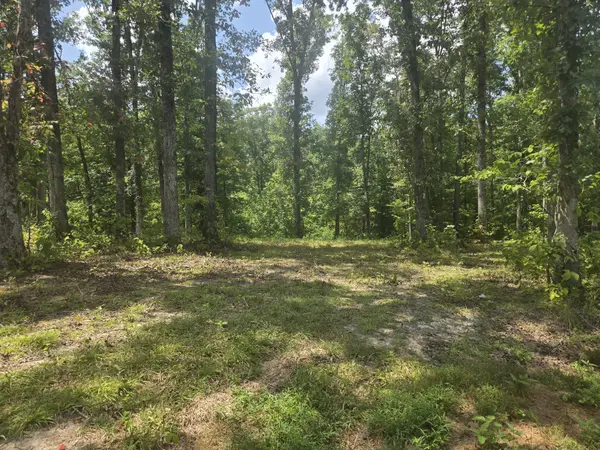 655 Dyer Rd, Hurricane Mills, TN 37078