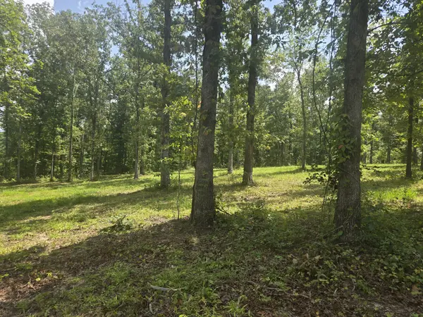 655 Dyer Rd, Hurricane Mills, TN 37078