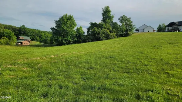 41 Shiloh Springs Road, Rutledge, TN 37861