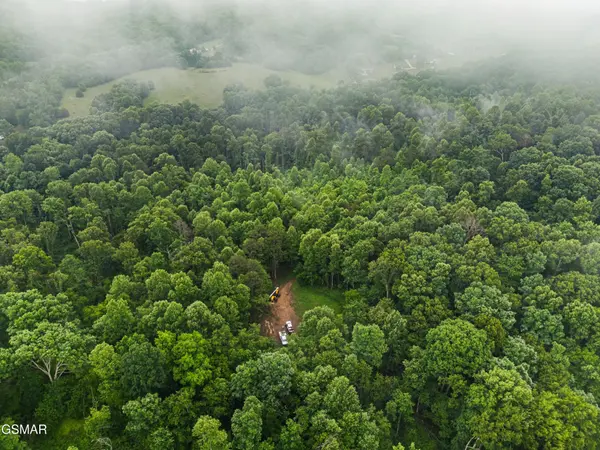 16 Mill Springs Road, New Market, TN 37820